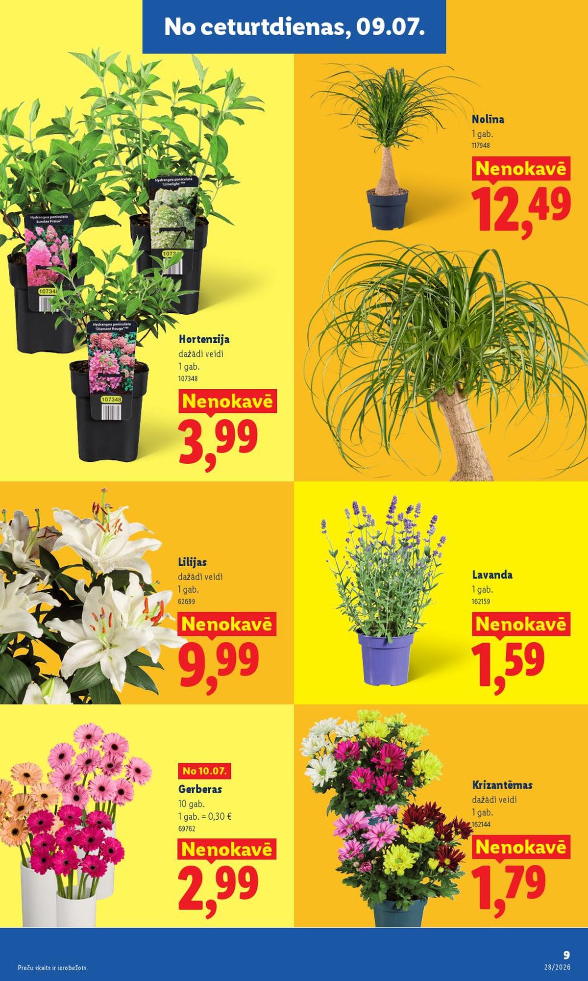 Publikācijas fotogrāfija
