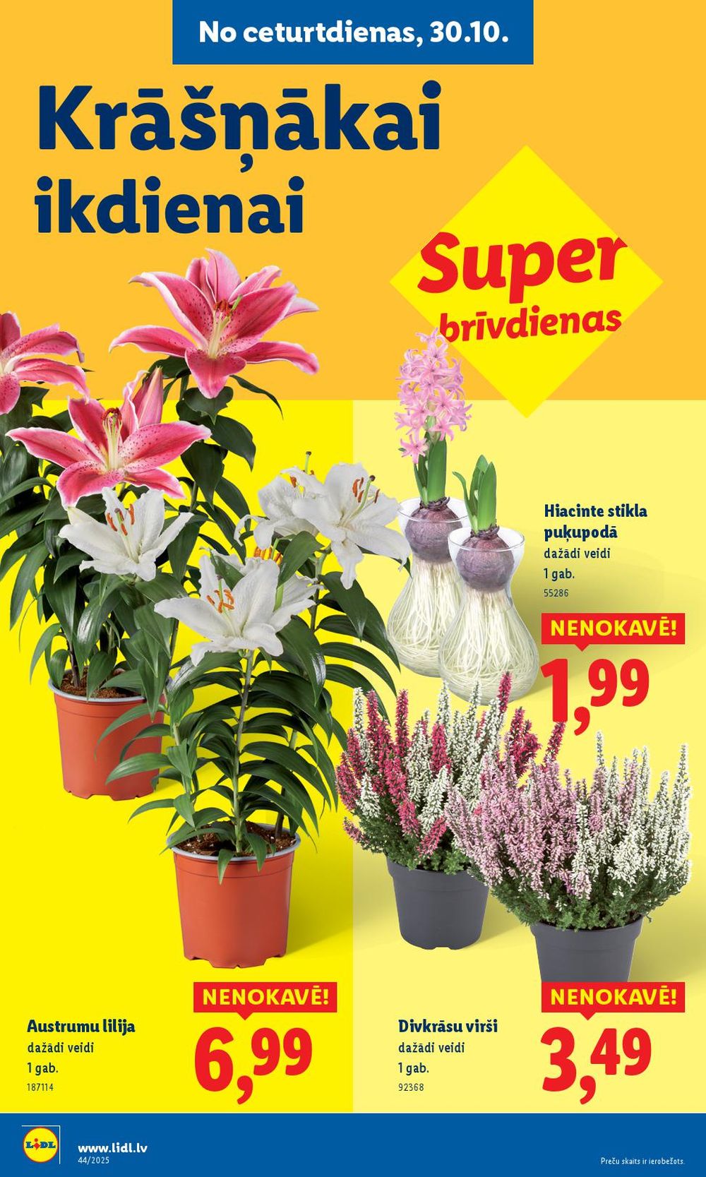 Publikācijas fotogrāfija