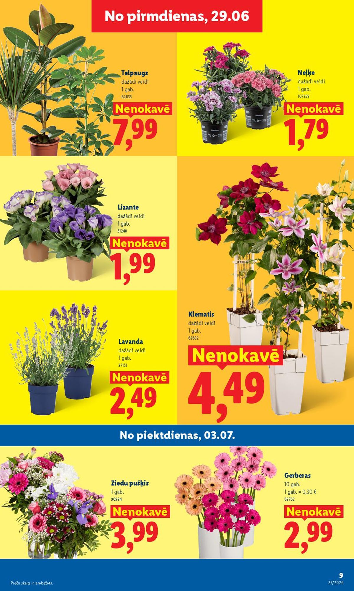 Publikācijas fotogrāfija