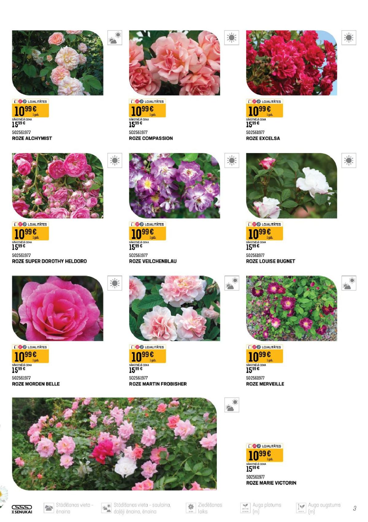 Publikācijas fotogrāfija