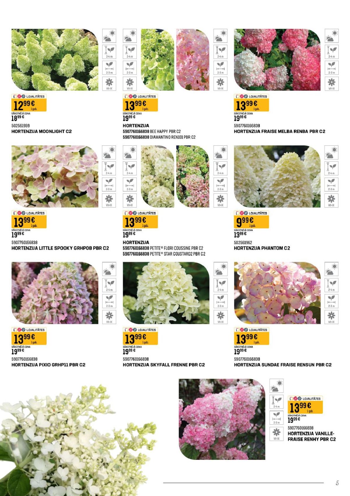 Publikācijas fotogrāfija