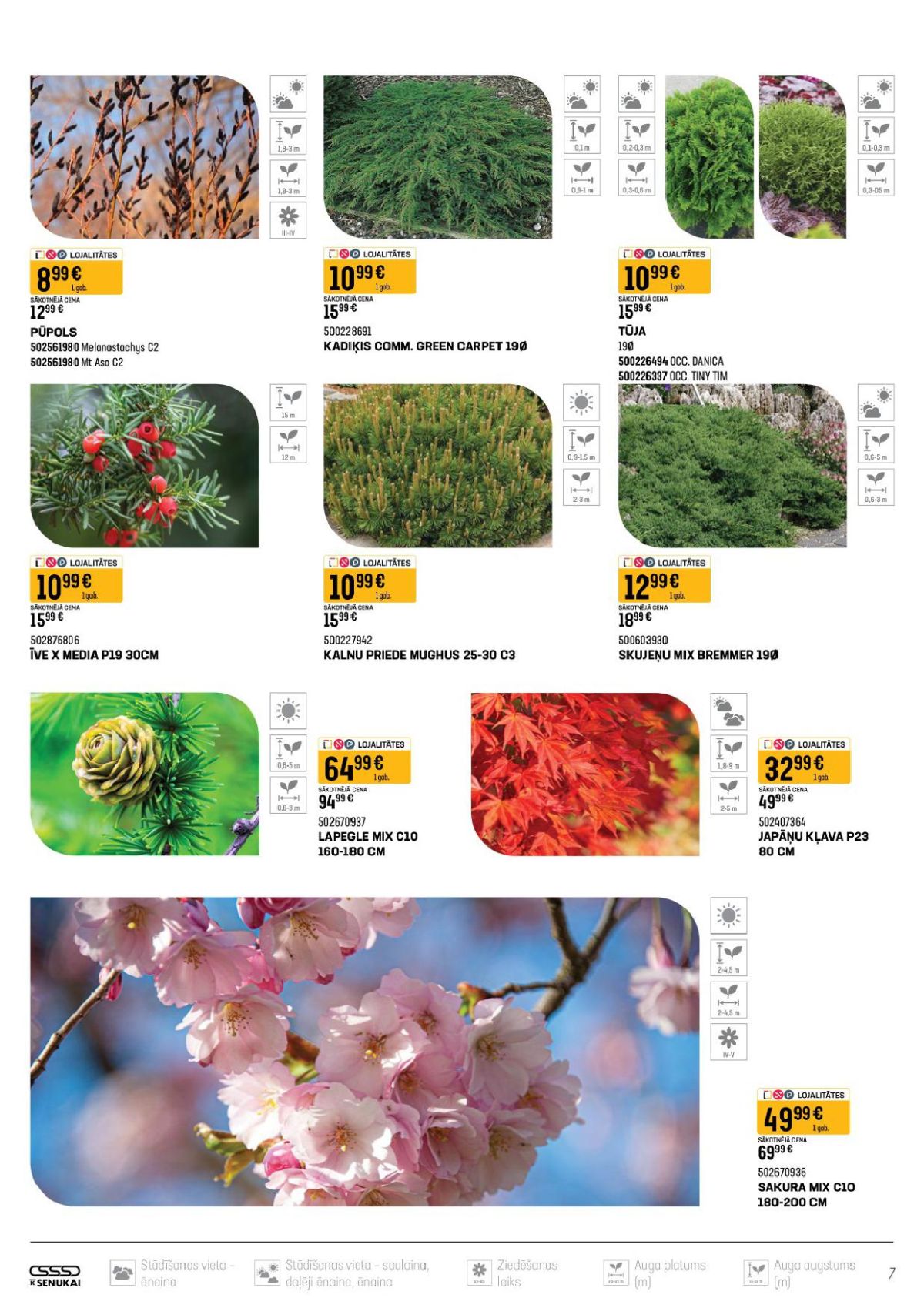 Publikācijas fotogrāfija