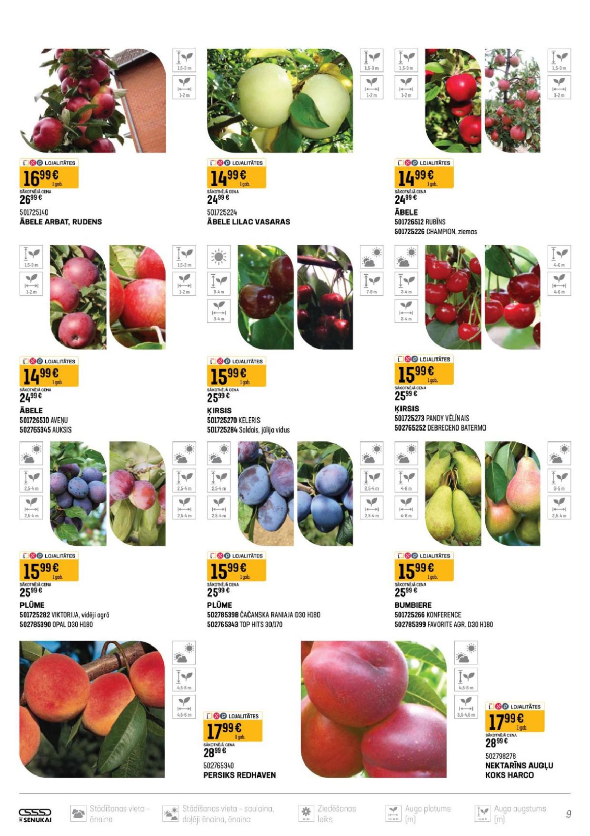 Publikācijas fotogrāfija