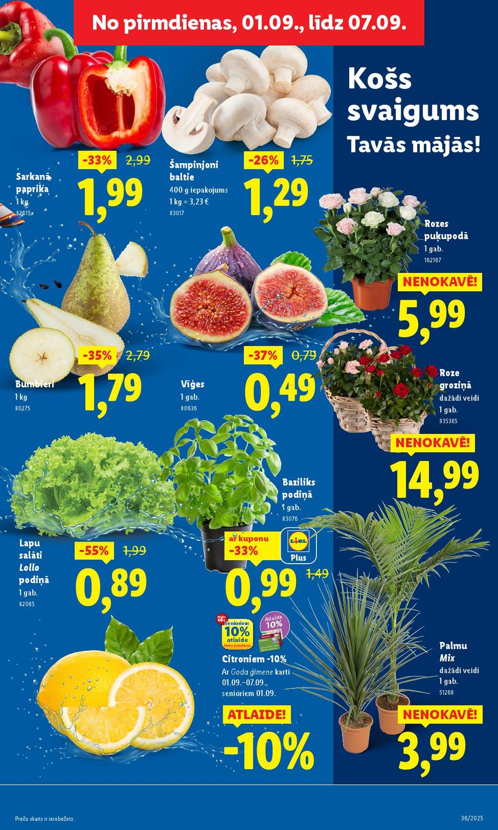 Publikācijas fotogrāfija