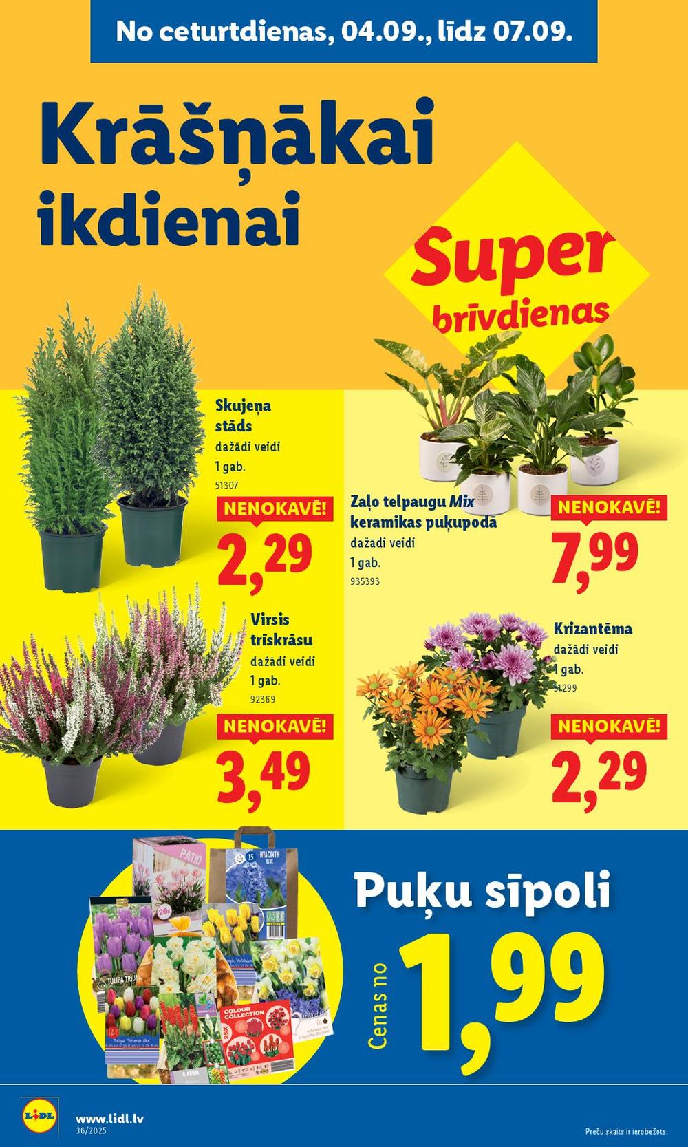 Publikācijas fotogrāfija