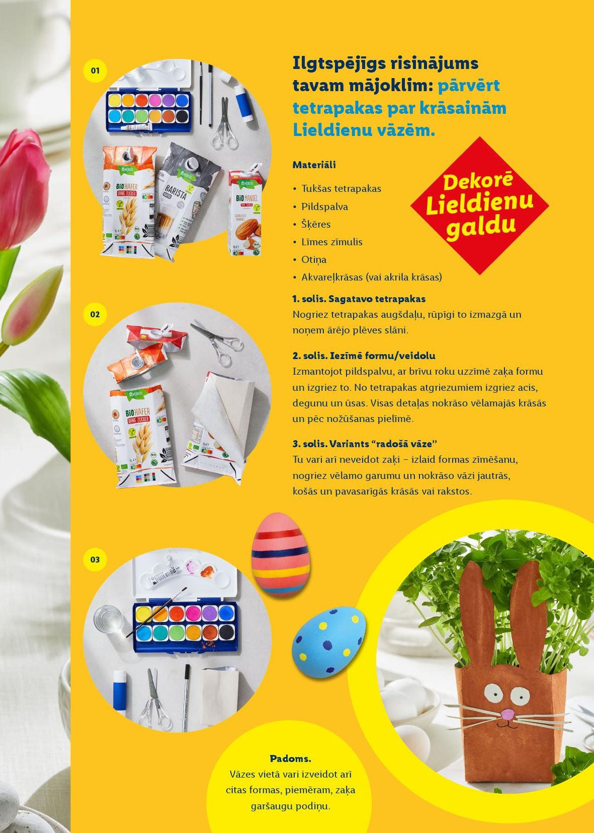 Publikācijas fotogrāfija