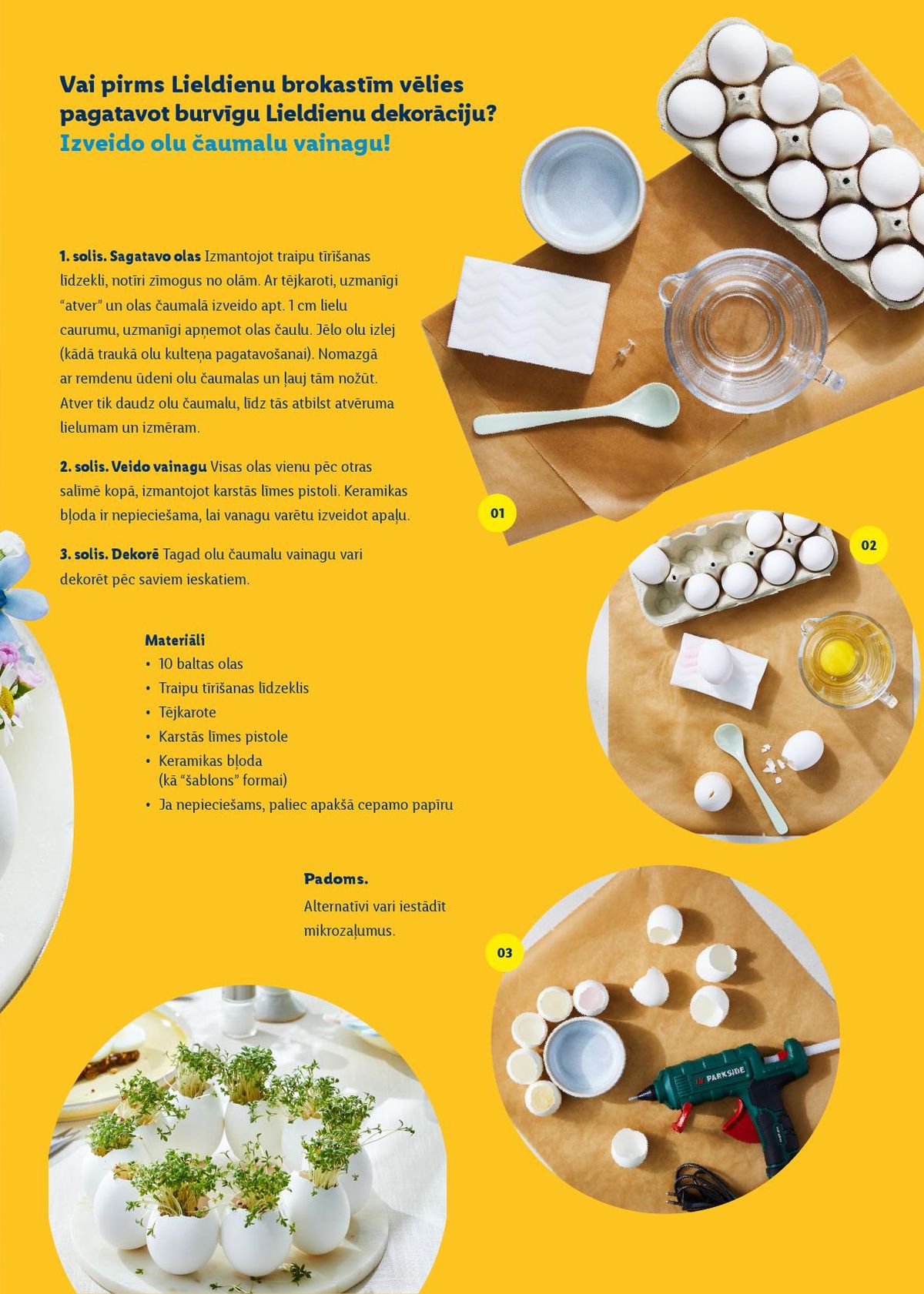 Publikācijas fotogrāfija