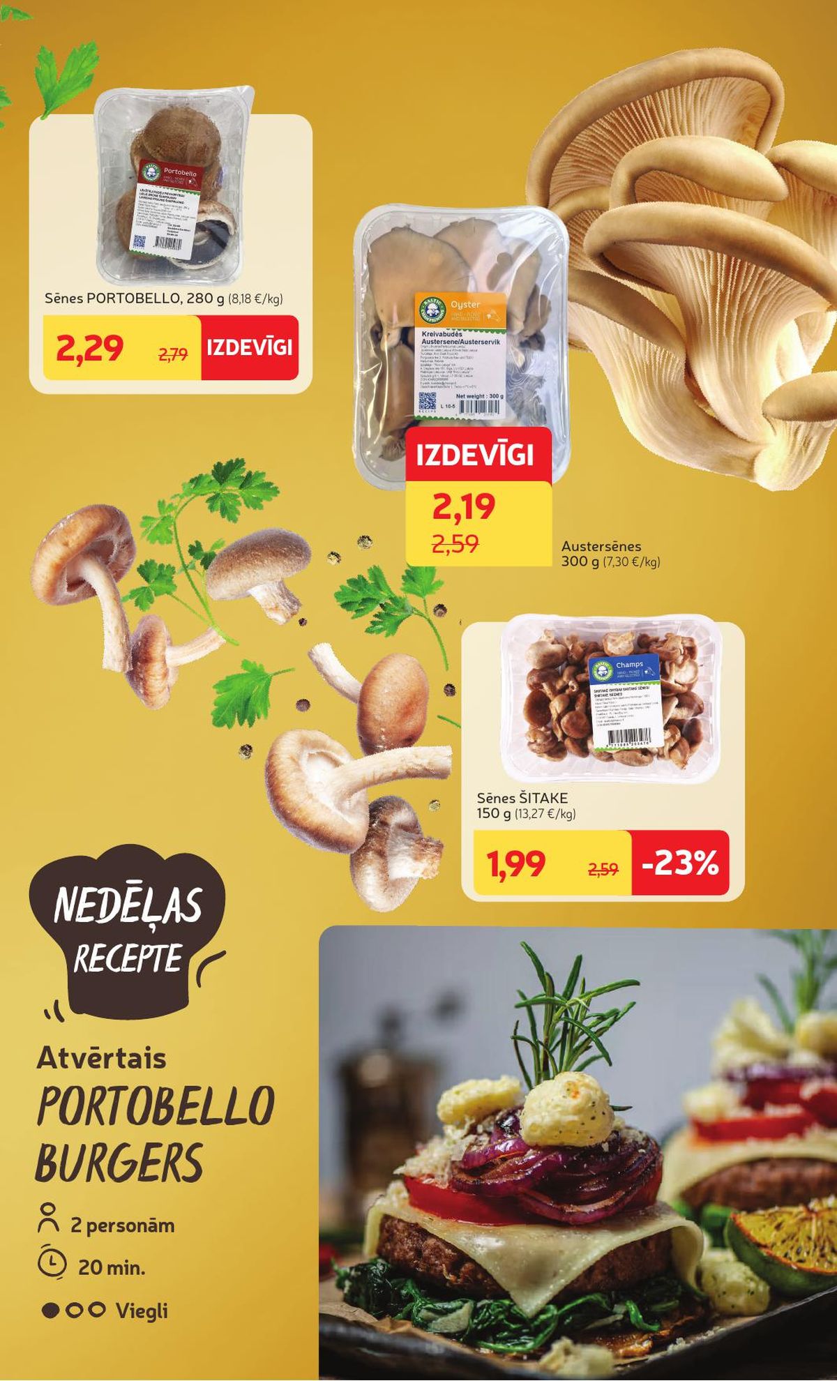 Publikācijas fotogrāfija