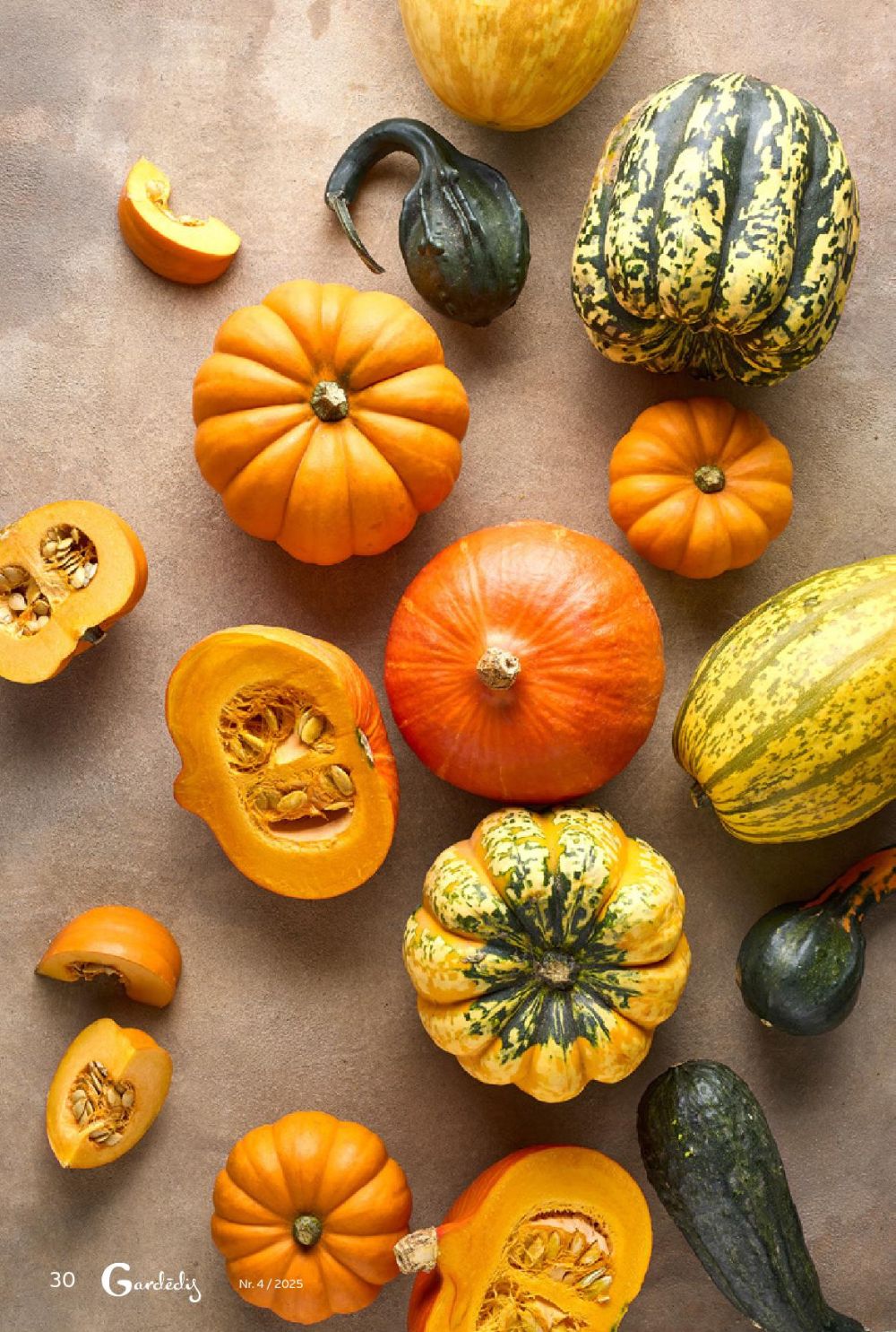 Publikācijas fotogrāfija