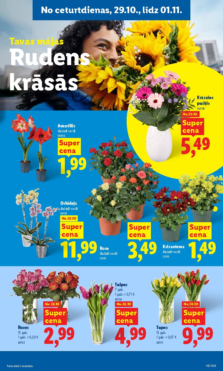 Publikācijas fotogrāfija