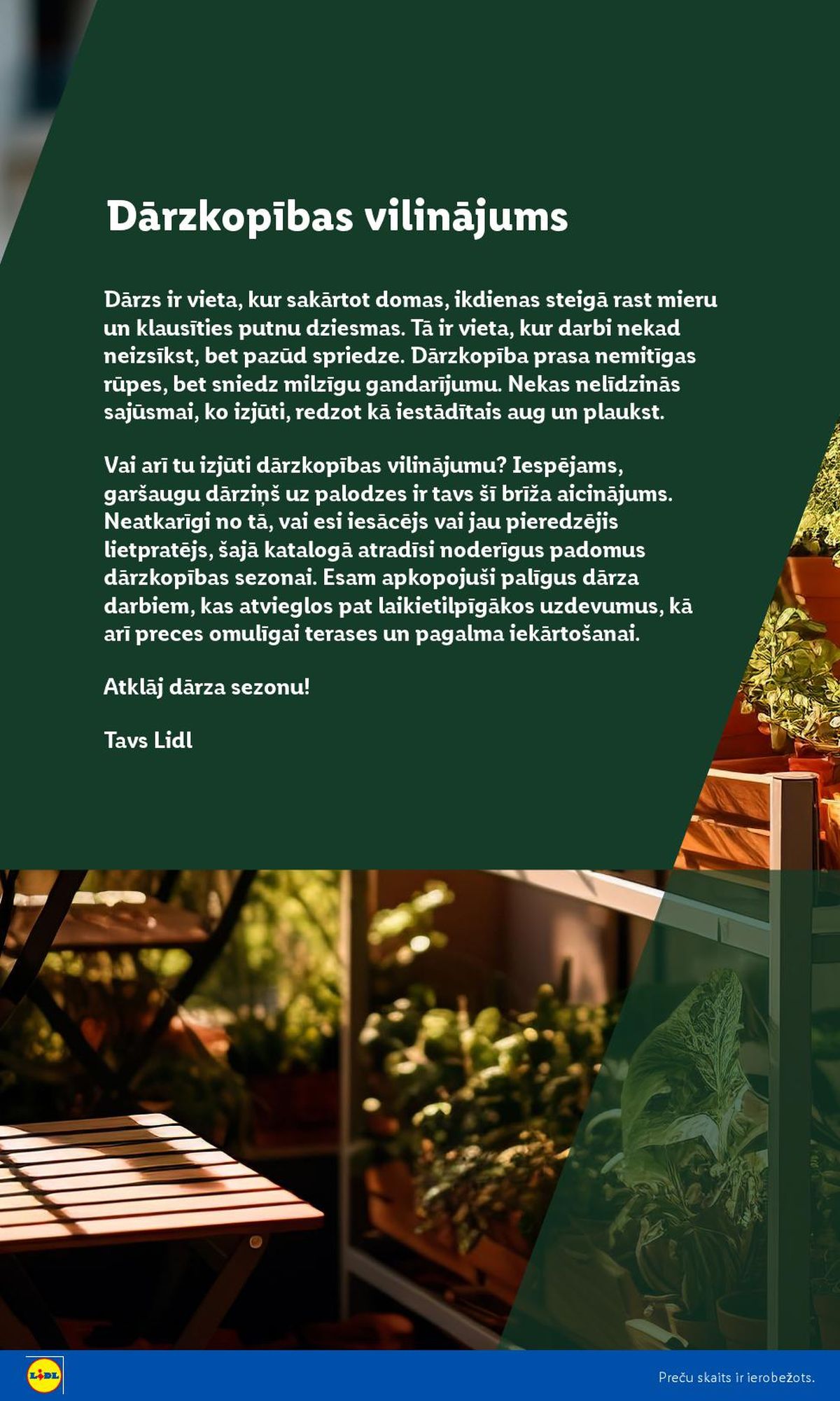 Publikācijas fotogrāfija