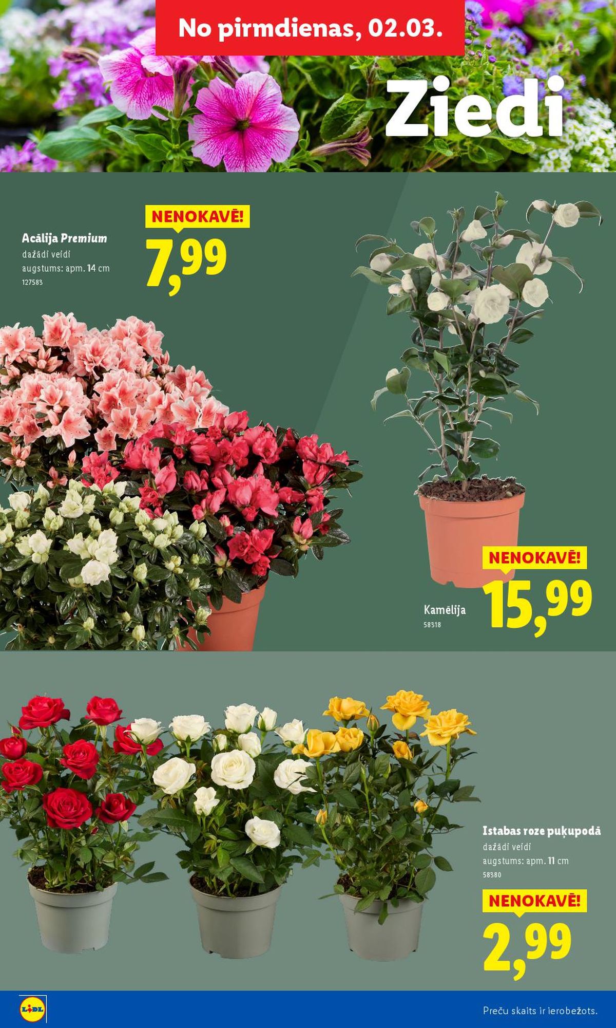 Publikācijas fotogrāfija