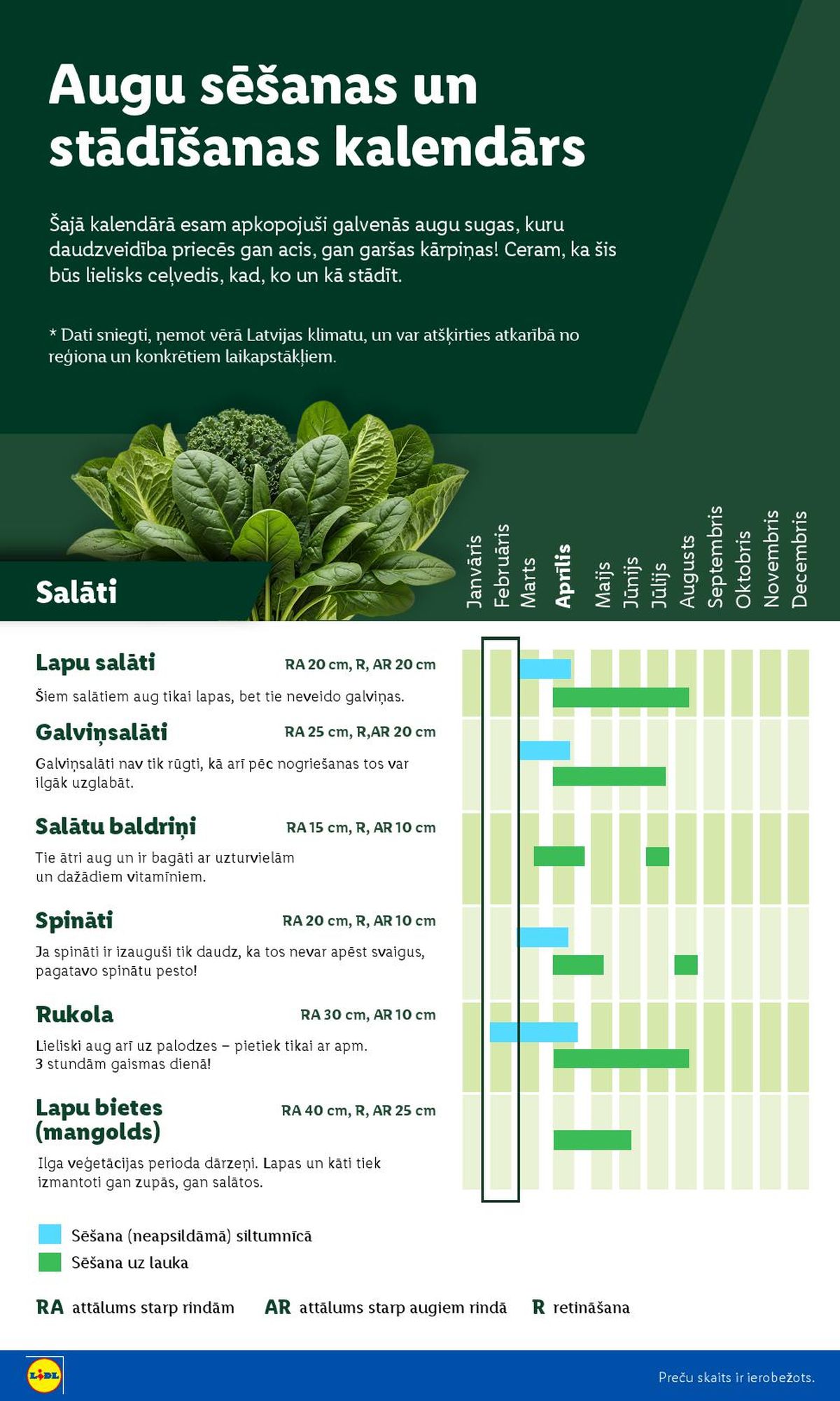 Publikācijas fotogrāfija