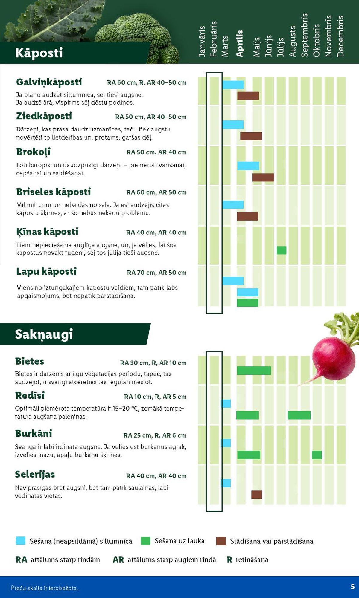 Publikācijas fotogrāfija