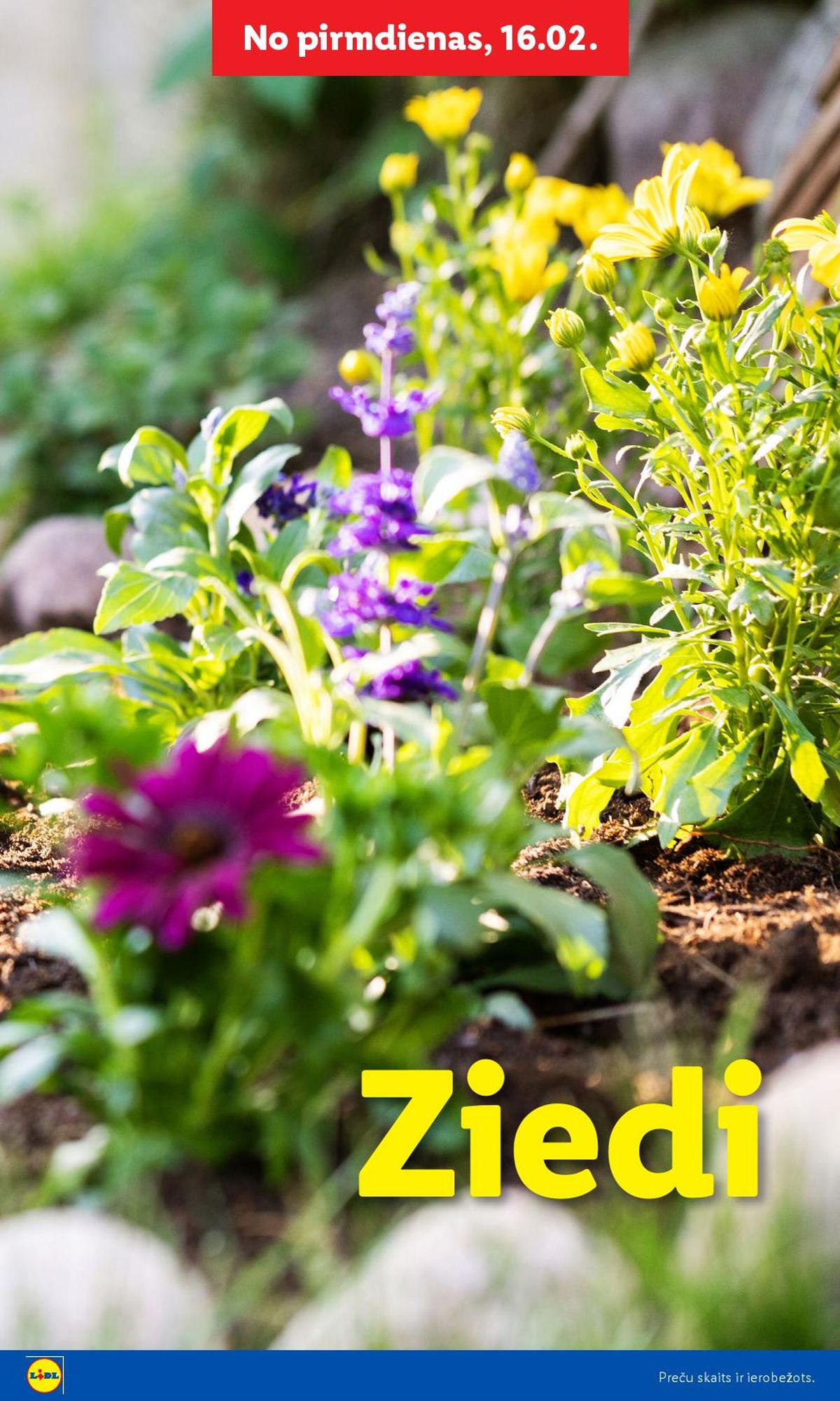 Publikācijas fotogrāfija