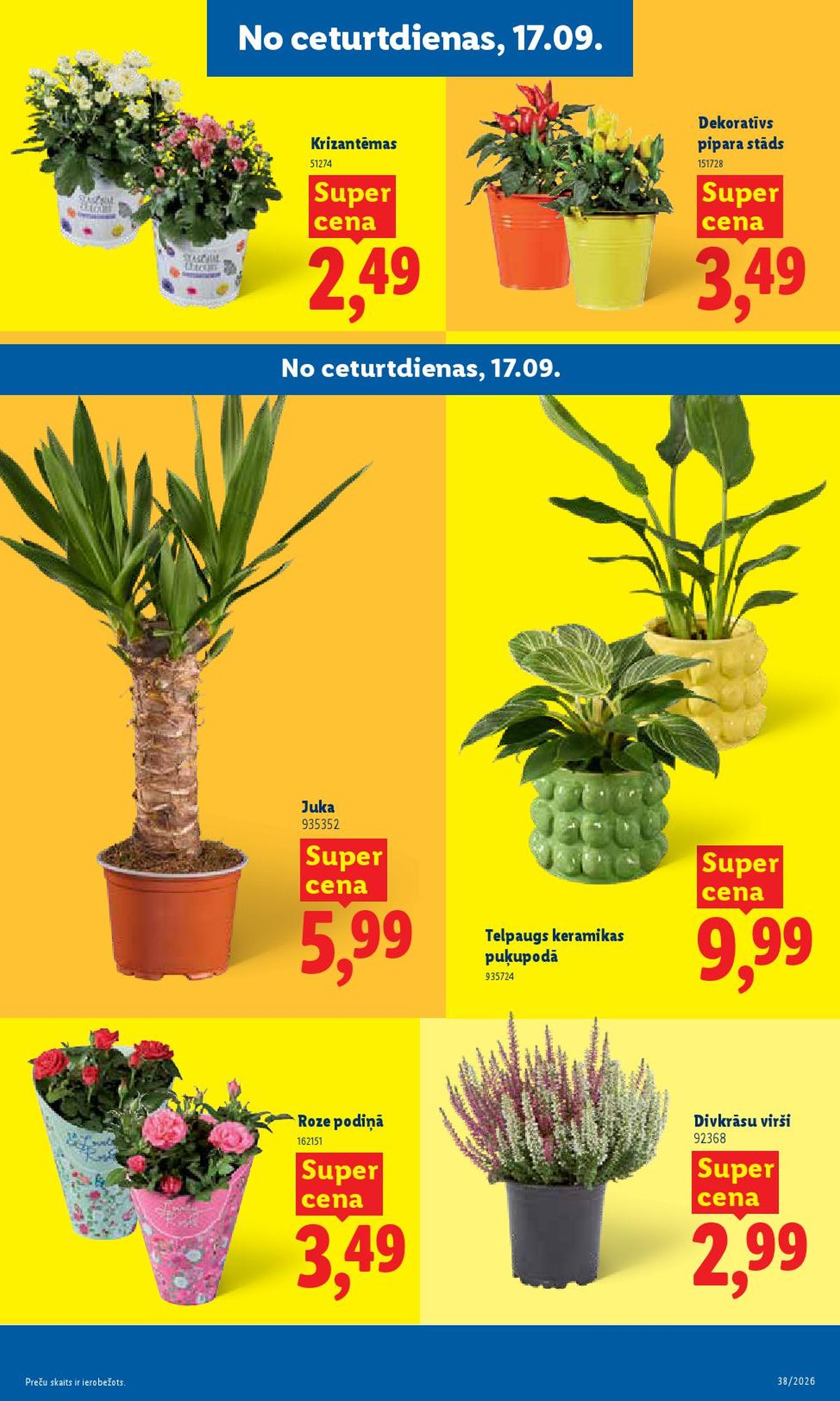 Publikācijas fotogrāfija