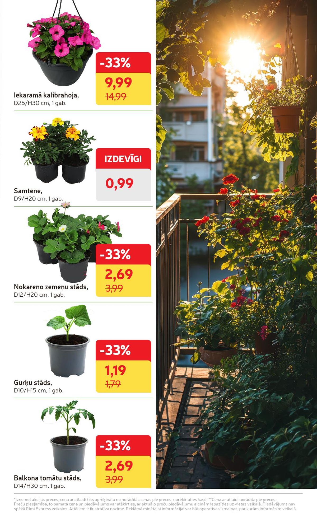 Publikācijas fotogrāfija