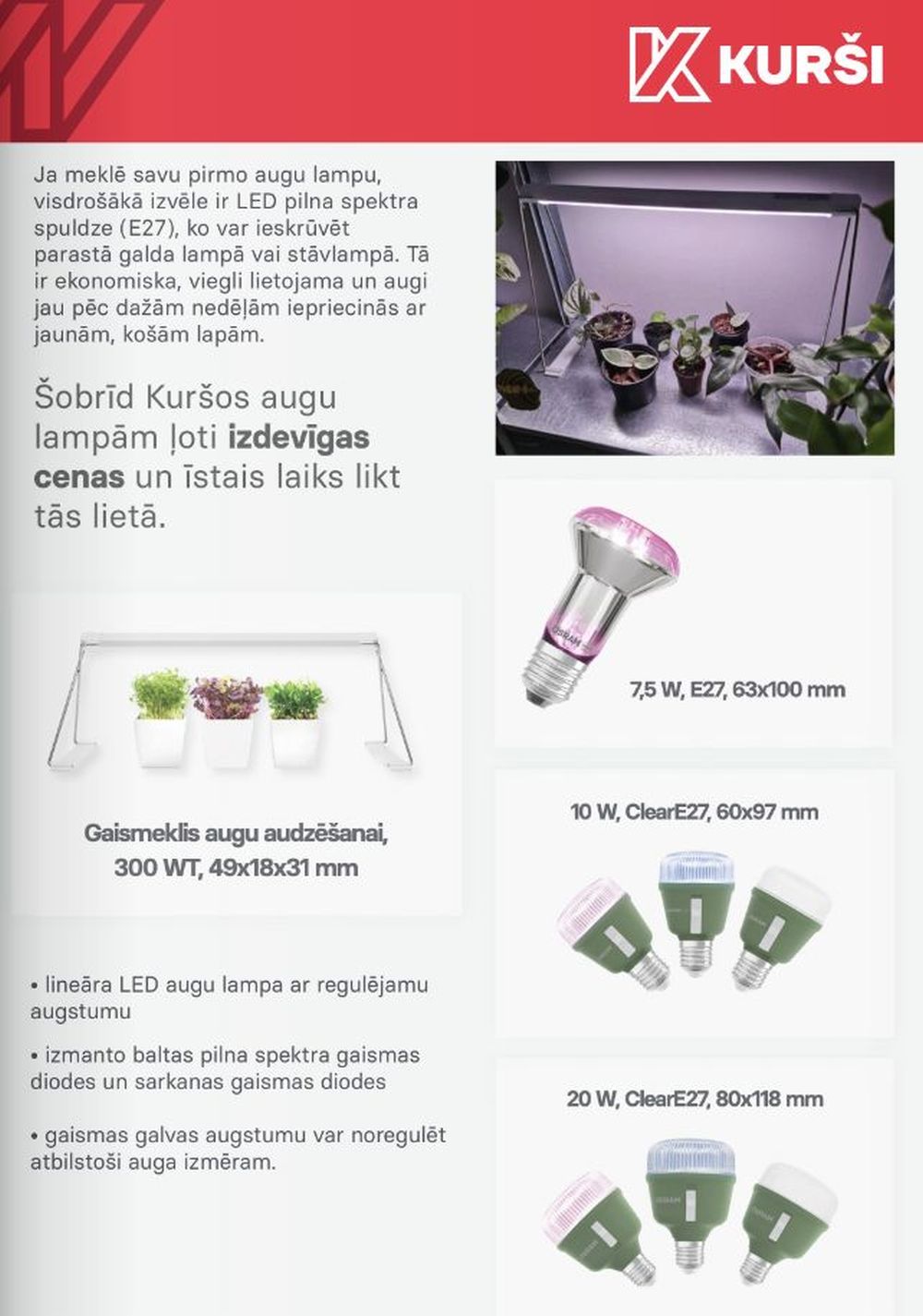 Publikācijas fotogrāfija