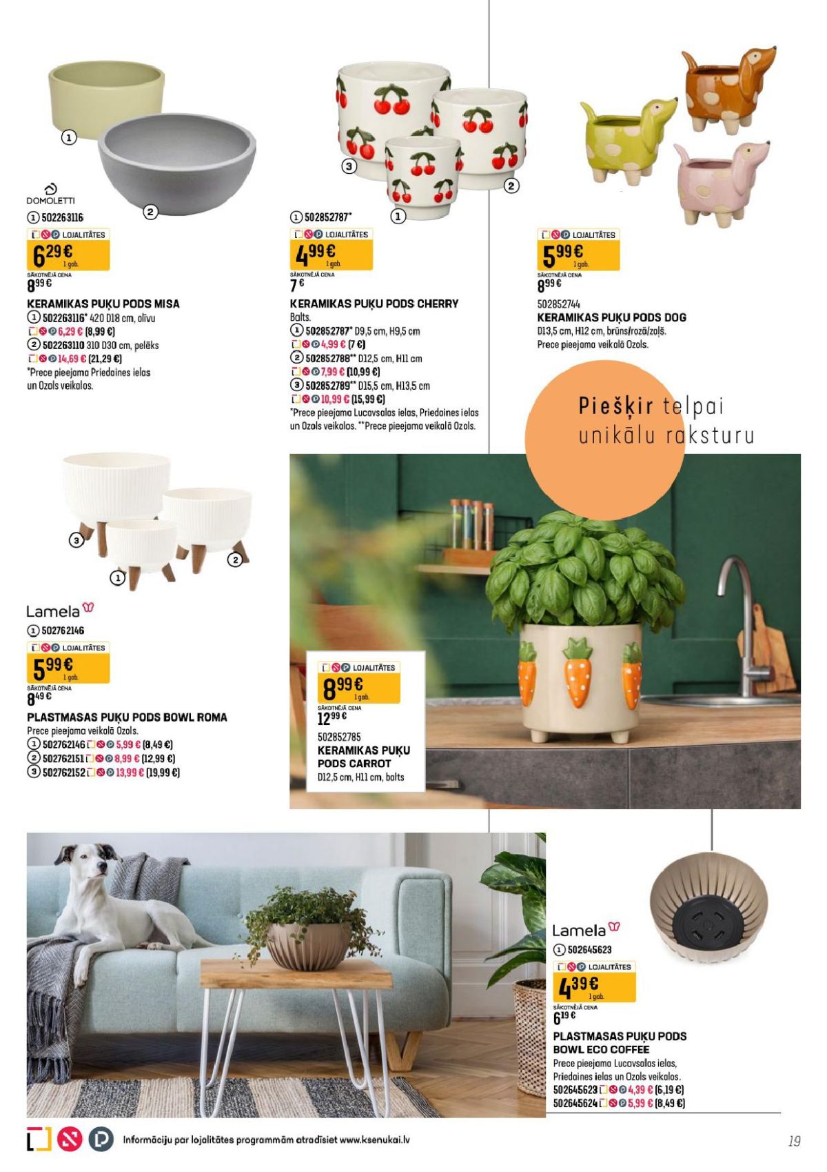 Publikācijas fotogrāfija