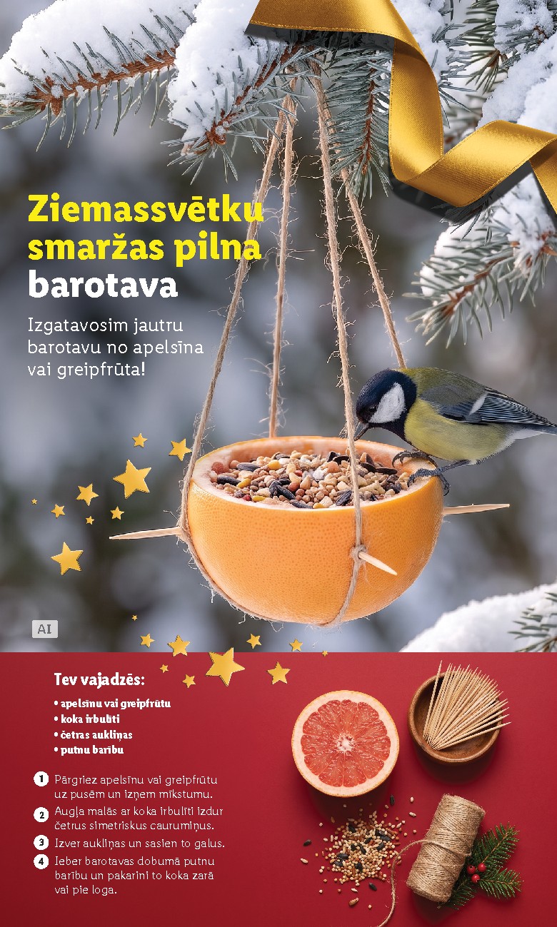 Publikācijas fotogrāfija