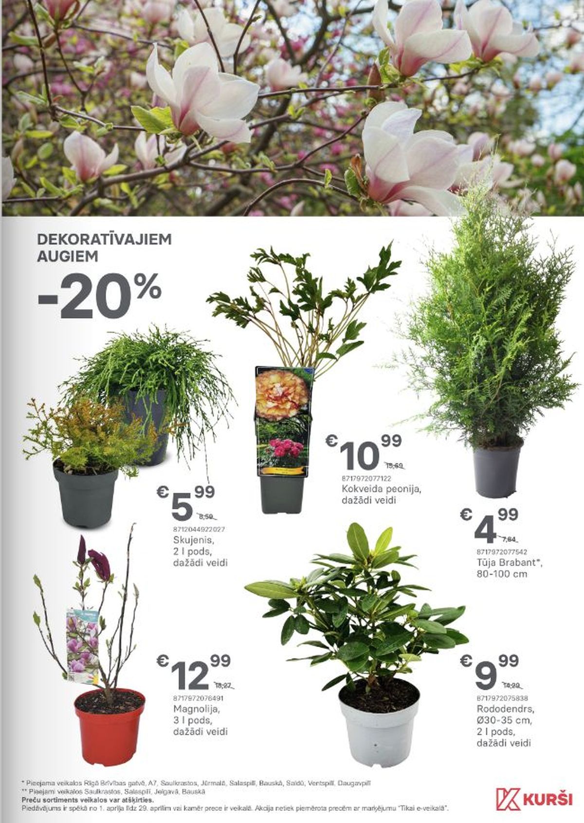 Publikācijas fotogrāfija