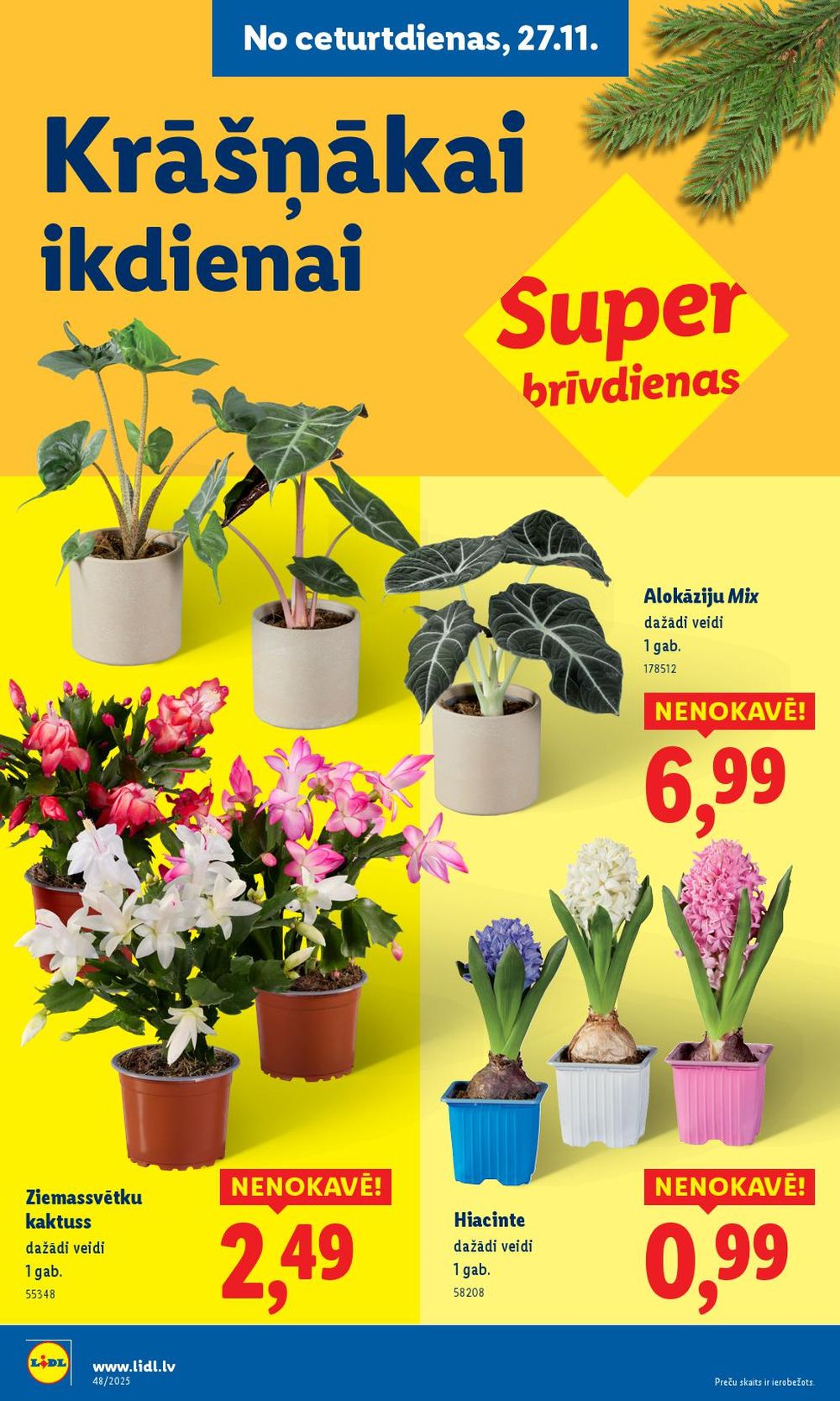 Publikācijas fotogrāfija