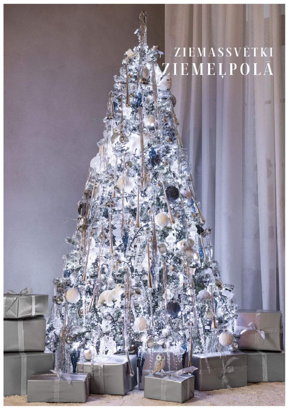 Publikācijas fotogrāfija