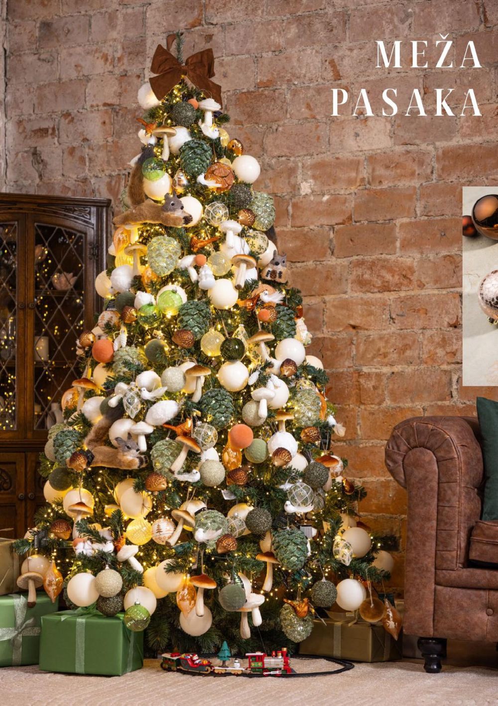 Publikācijas fotogrāfija