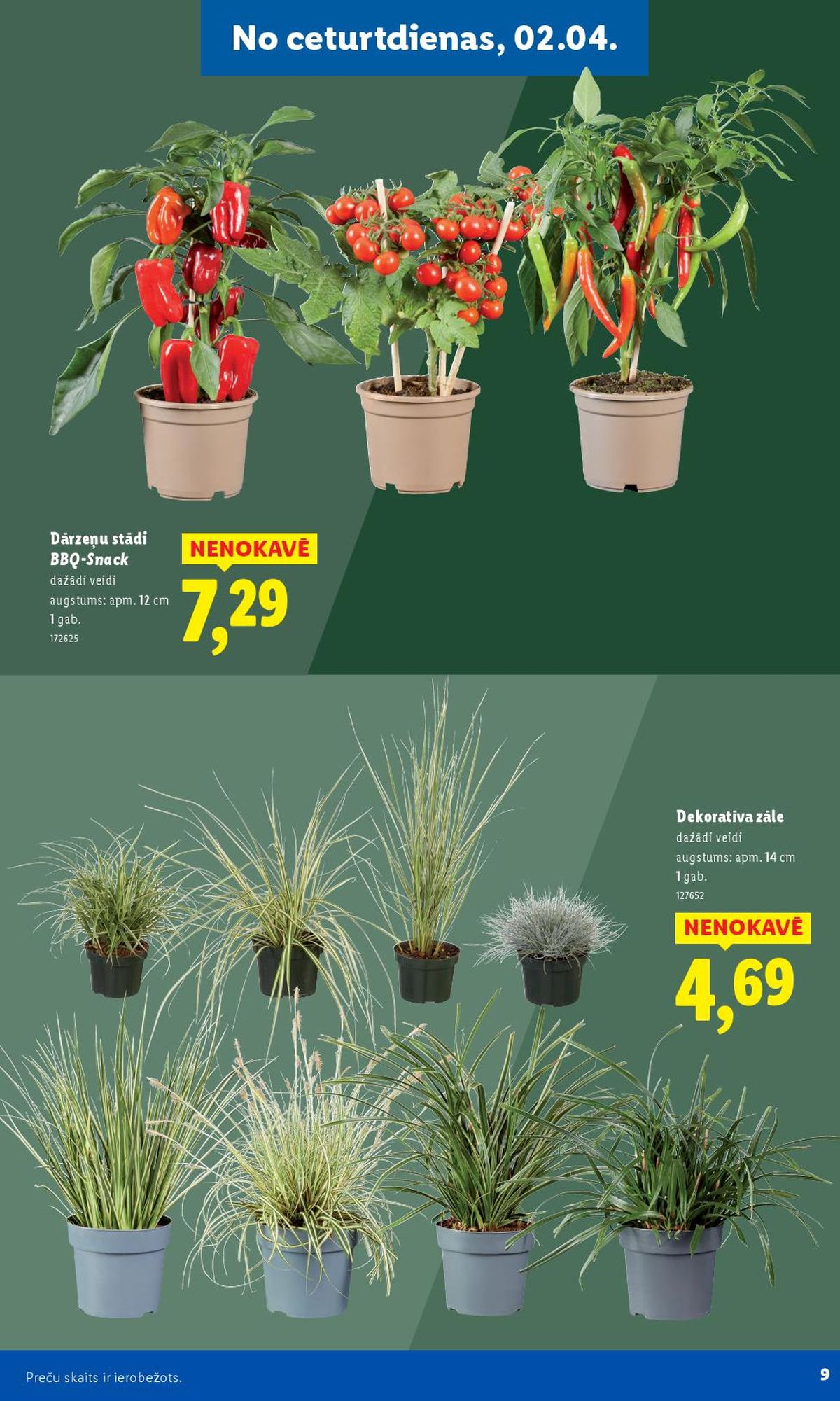 Publikācijas fotogrāfija