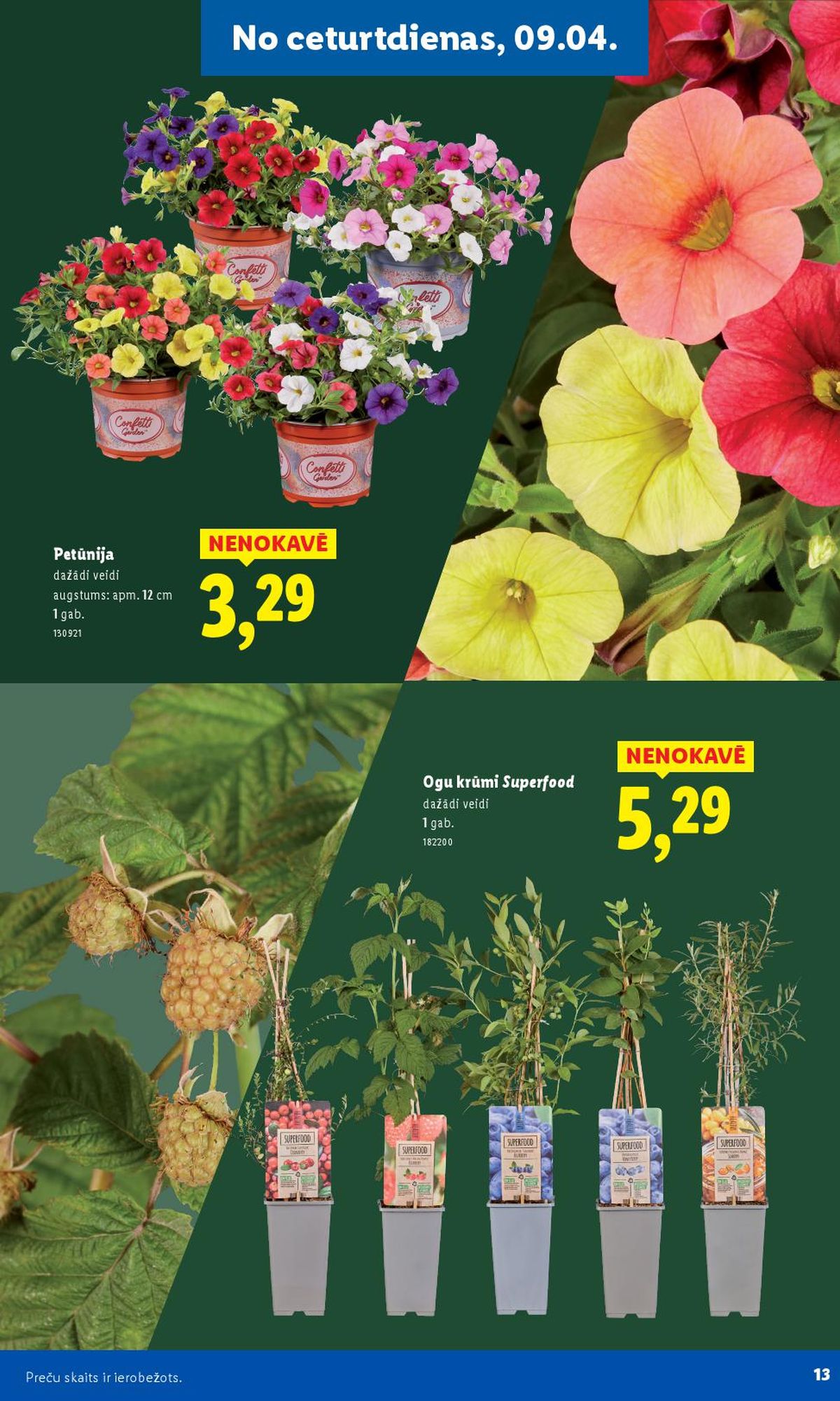 Publikācijas fotogrāfija