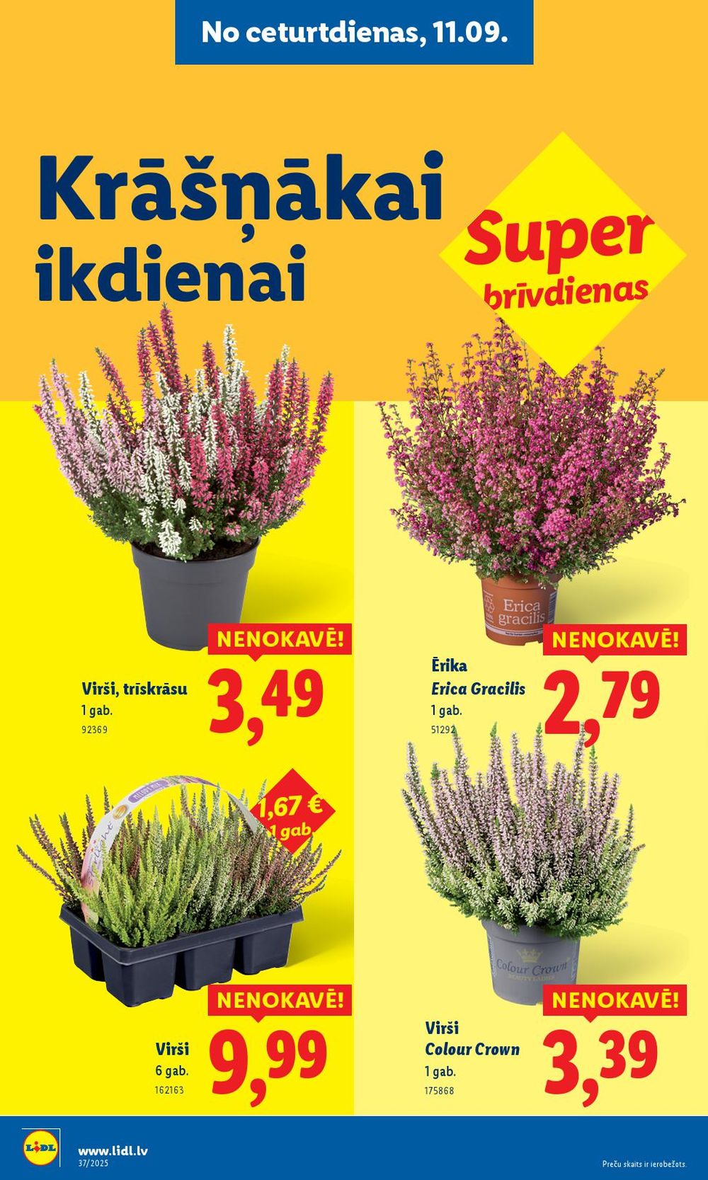 Publikācijas fotogrāfija