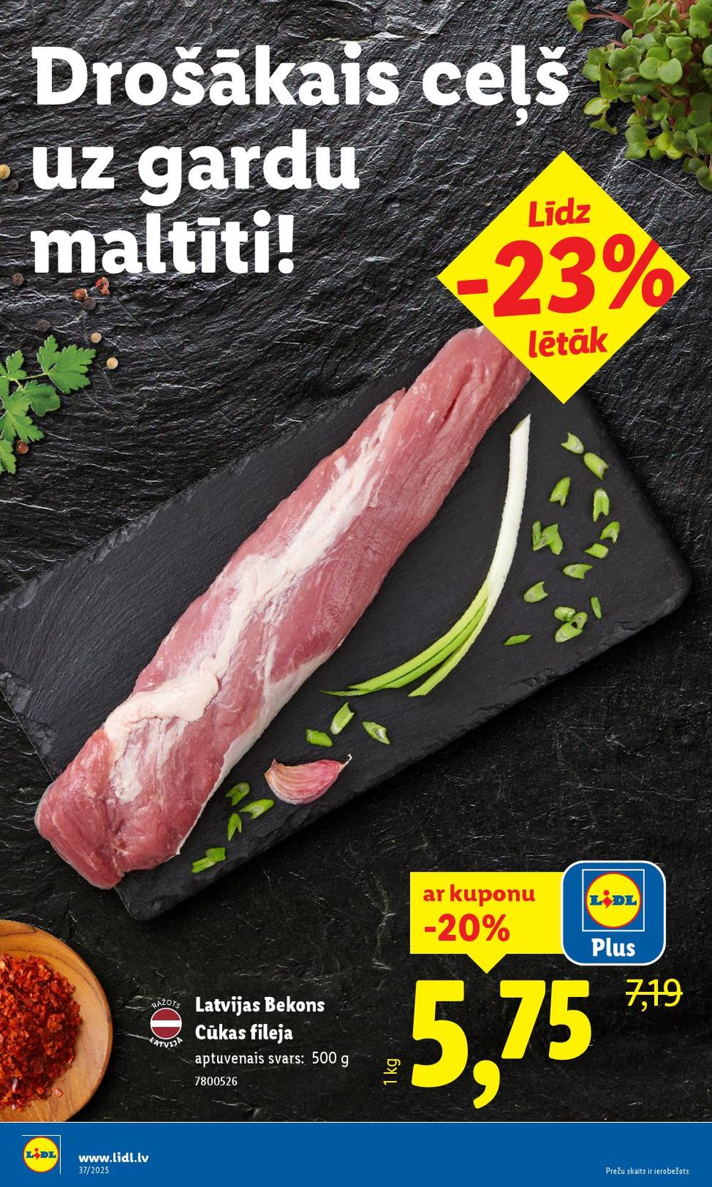Publikācijas fotogrāfija