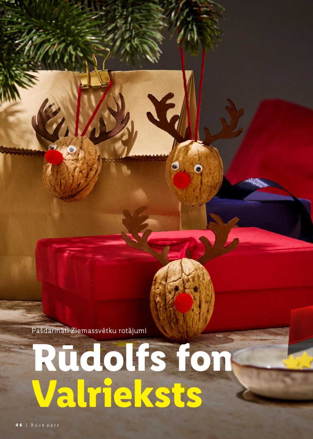 Publikācijas fotogrāfija