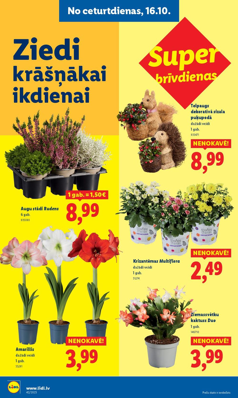Publikācijas fotogrāfija