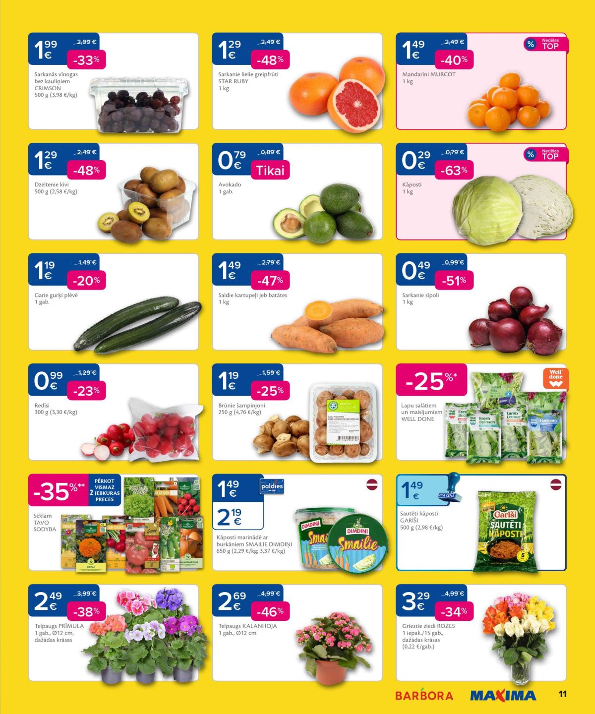 Publikācijas fotogrāfija