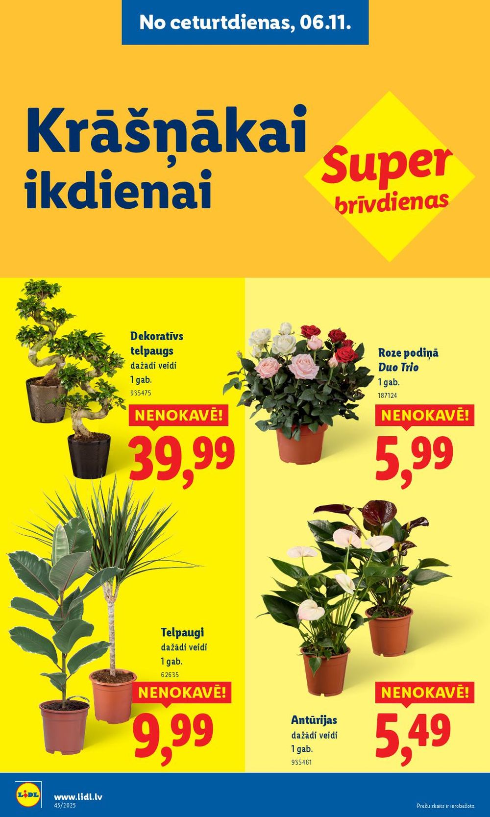 Publikācijas fotogrāfija