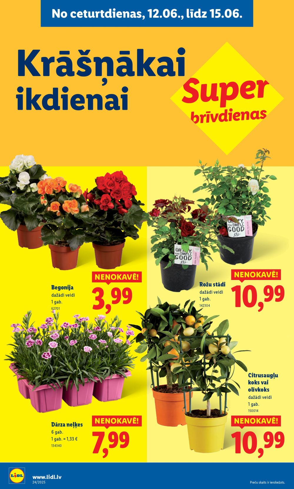 Publikācijas fotogrāfija