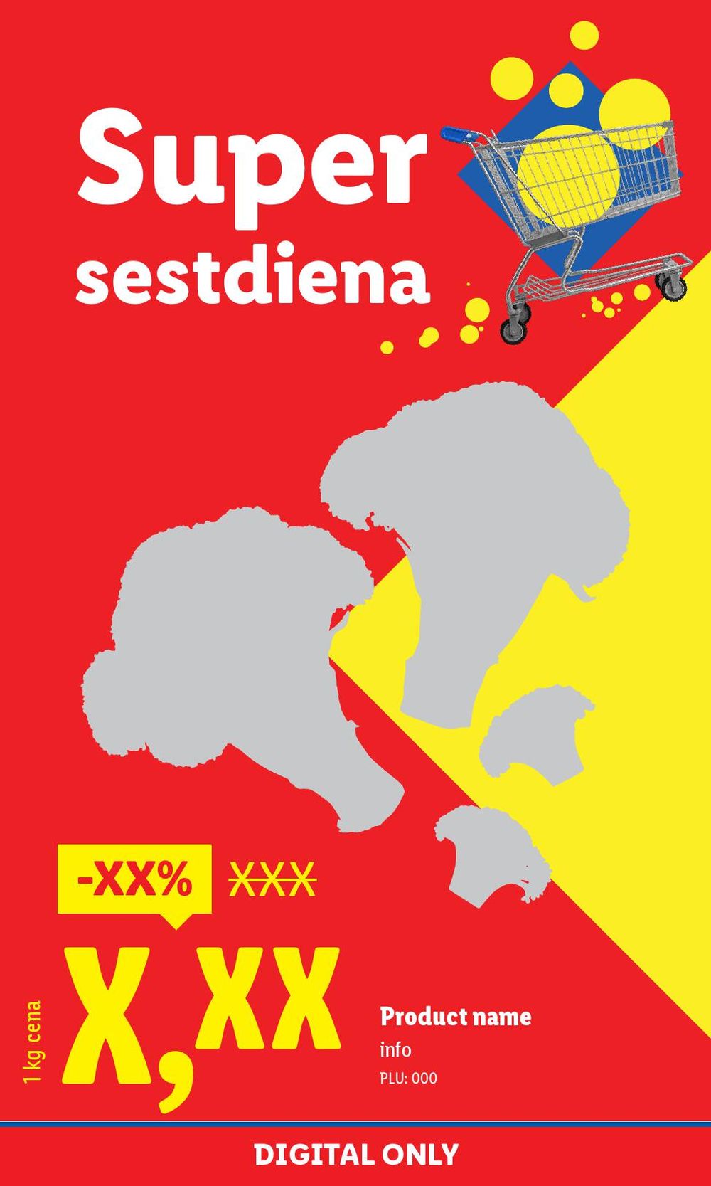 Publikācijas fotogrāfija