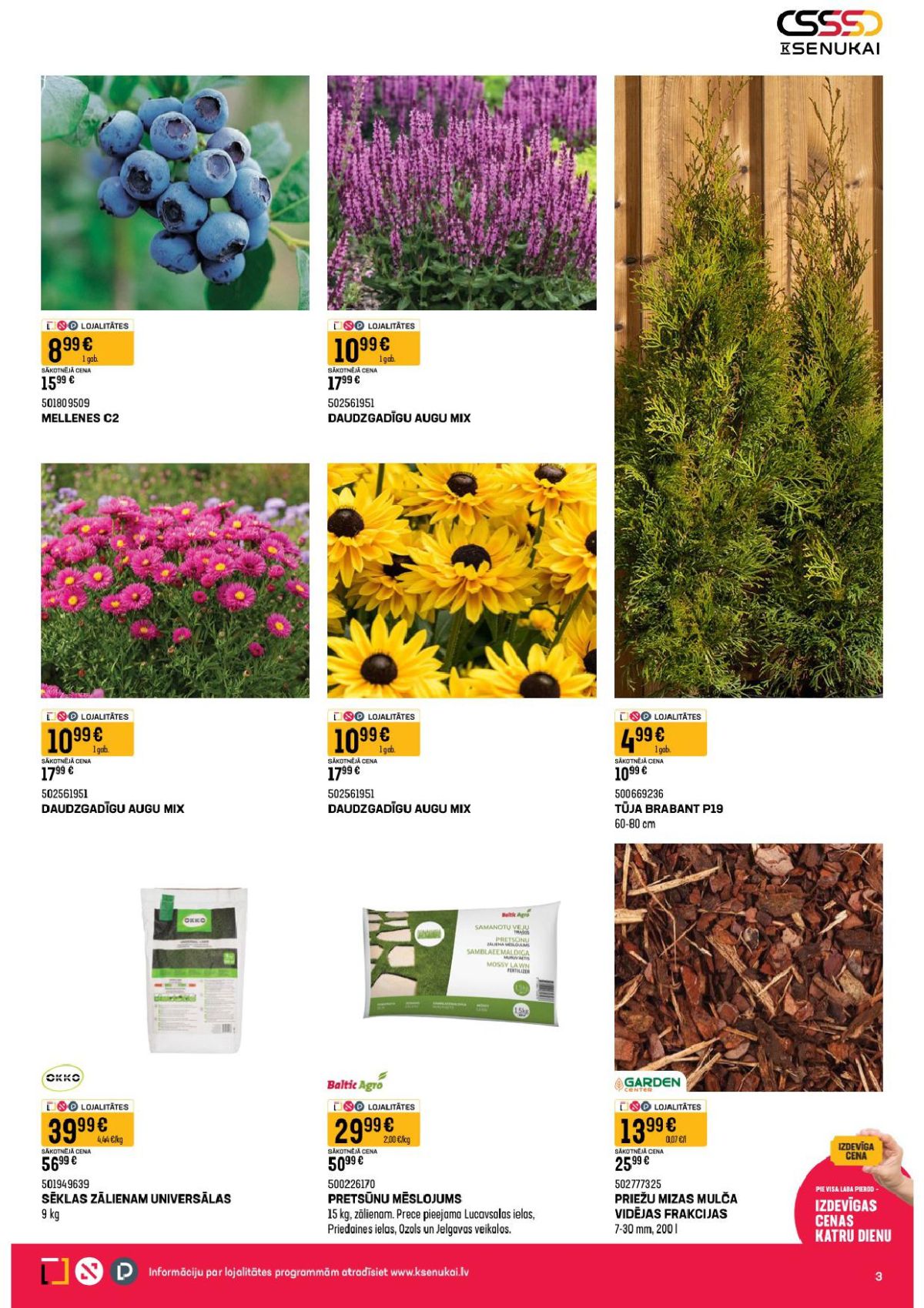 Publikācijas fotogrāfija