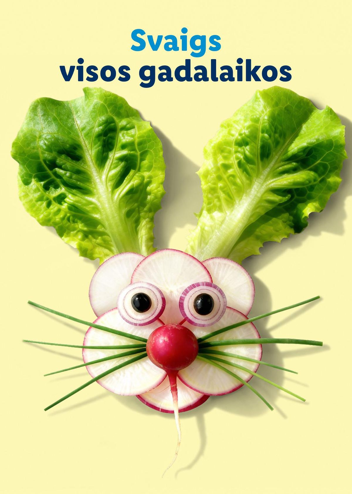 Publikācijas fotogrāfija