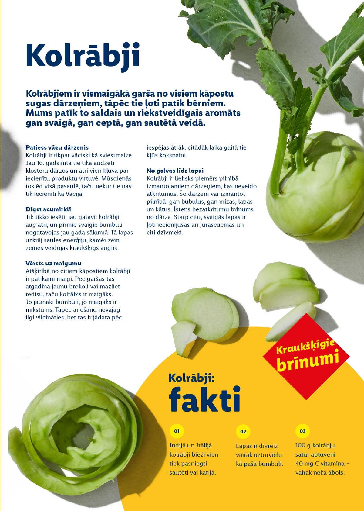 Publikācijas fotogrāfija