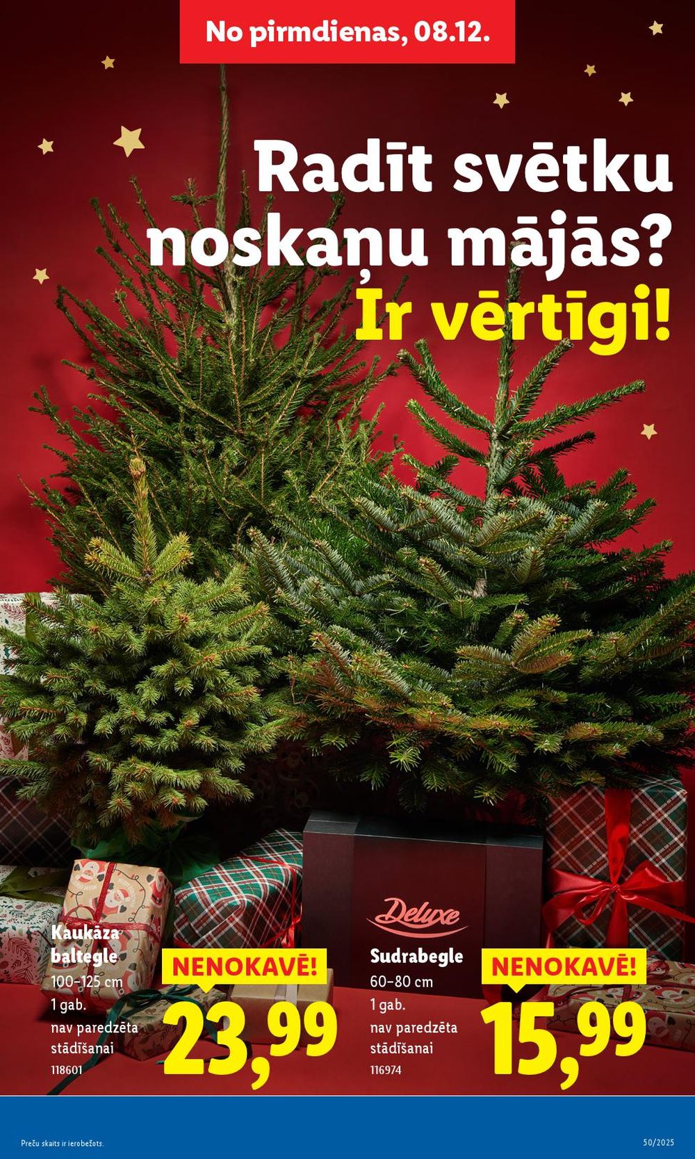 Publikācijas fotogrāfija