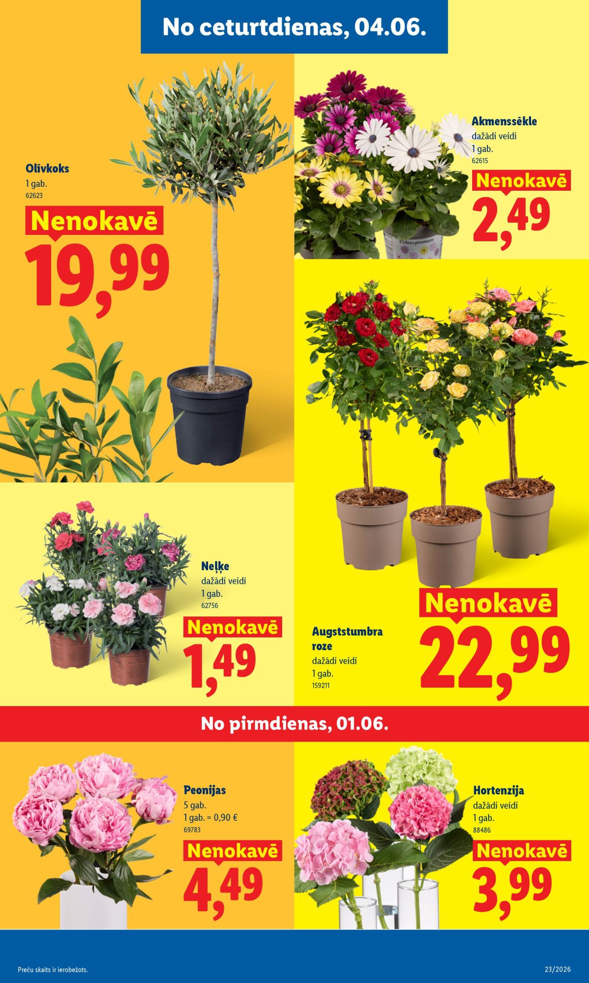 Publikācijas fotogrāfija