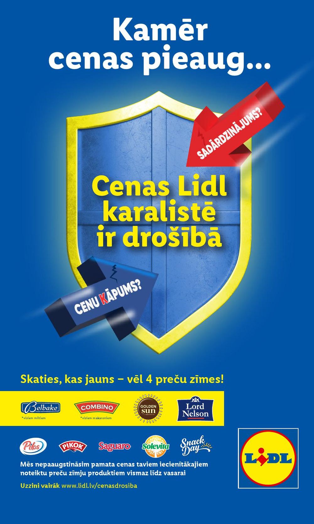 Publikācijas fotogrāfija