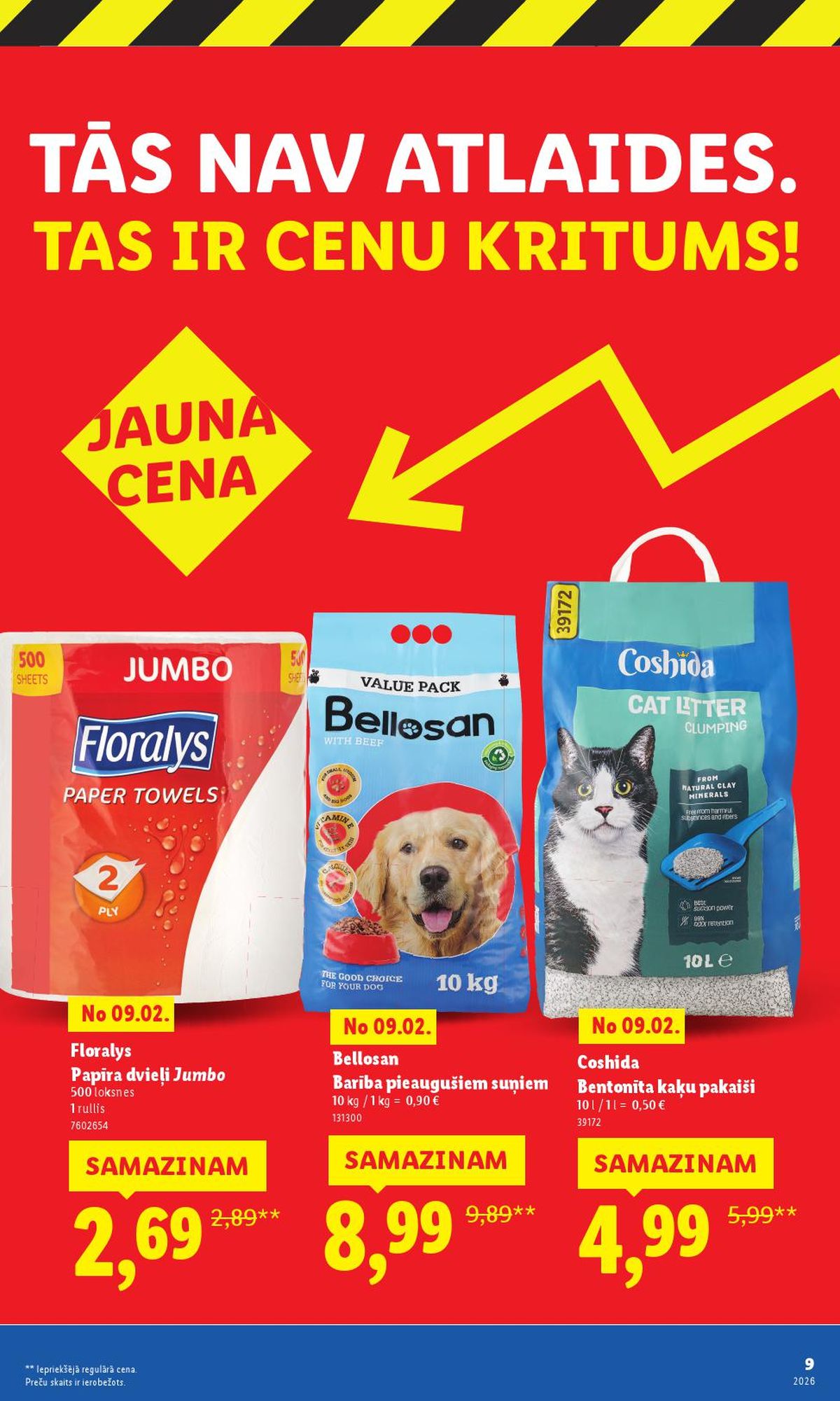 Publikācijas fotogrāfija