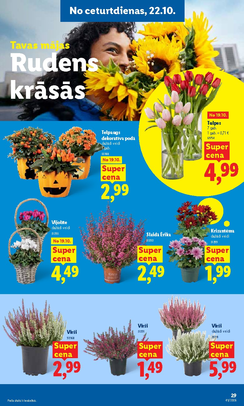 Publikācijas fotogrāfija
