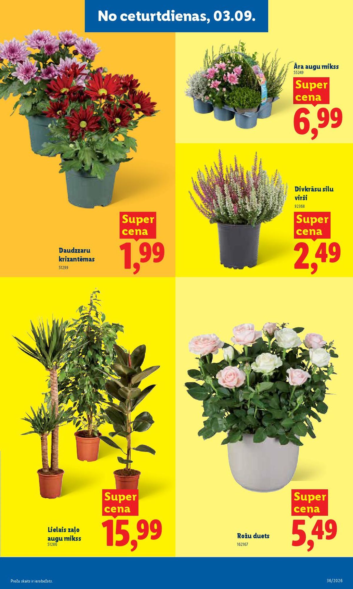 Publikācijas fotogrāfija