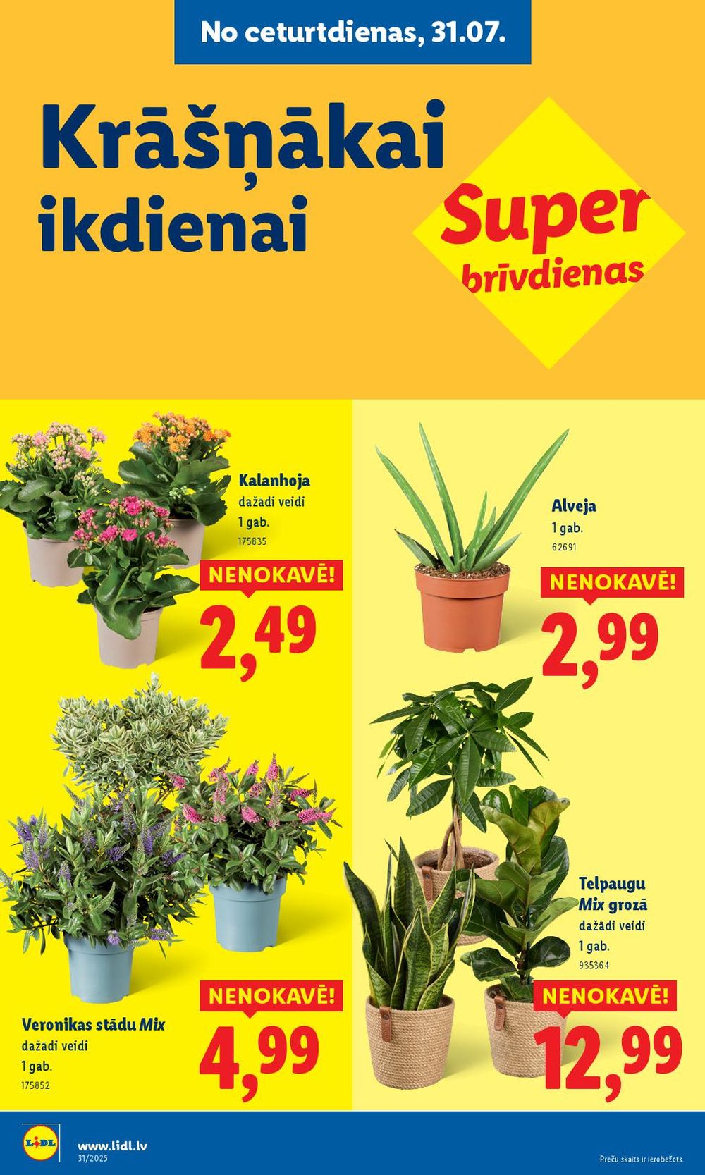 Publikācijas fotogrāfija